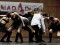 Mad4Dance